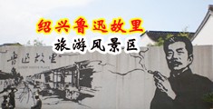 小电影入口骚逼中国绍兴-鲁迅故里旅游风景区